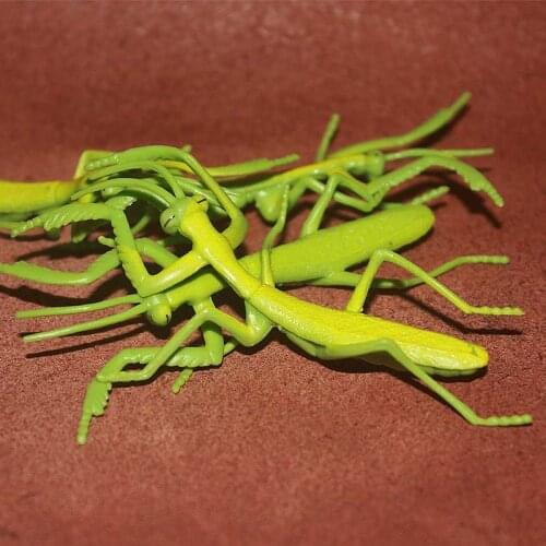 1:1 PVC figure Doll model toy The simulation model toy Mantis 5pcs/set