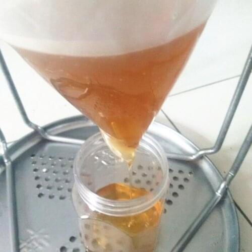 HKML Filters For Coffee