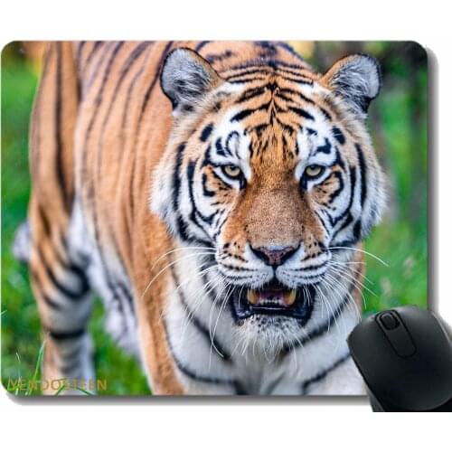Mouse Pad Personalized,Tiger Predator Mouth 189345 Mouse Pads