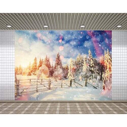 Lyavshi Christmas Snow Background Christmas Photography Photo Shooting Christmas Party Photography Background