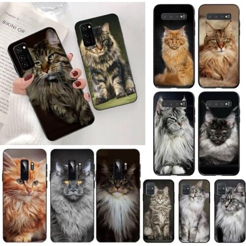 Pet maine coon cat Bling Cute Phone Case for Samsung S20 plus Ultra S6 S7 edge S8 S9 plus S10 5G lite 2020