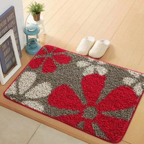 Floor Mat, Door Mat, Absorbent Floor Mat, New Door Entry, Household Entry Door, Blanket, Entry Bathroom, Bathroom Non-slip