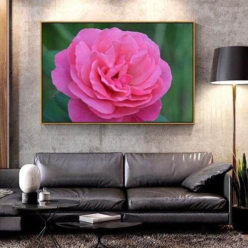 Artcozy Oil Canvas Painting rose_bud_pink_petals For Home Decoration Wall Art