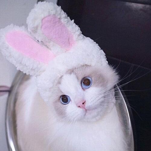 Cat Hat Clothes Headgear Costume White Bunny Rabbit Ears Hats Pet Small Dogs Kitte Cosplay Bear Shape Cap Costumes Accessories