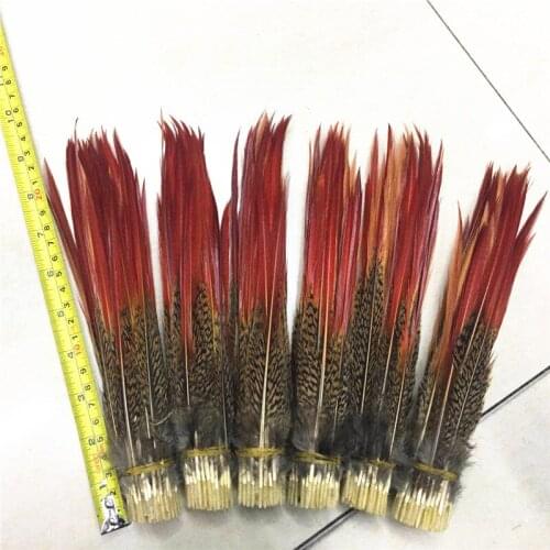 2-12inch/5-30CM Natural Pheasant Tail Feathers Red Tips Red Sword Feathers for Crafts Wedding Decoration DIY Accessories Plumes