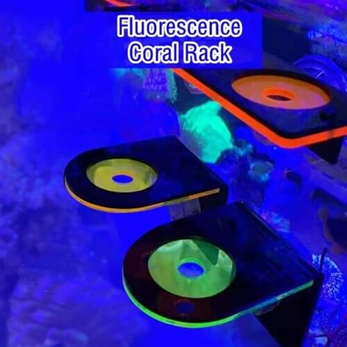 Fluorescence Coral Frag Rack Acrylic Cultivating Coral Holder Bracket LPS Bracket Mount Tool Marine Reef Tank Landscaping