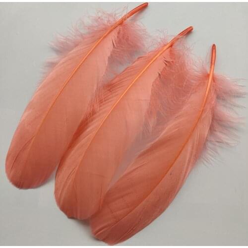 Hot 20pcs Beautiful Watermelon Red Hard Goose Feathers 15-20cm/6-8inch Christmas Decoration Clothing Shoes Hat Accessories