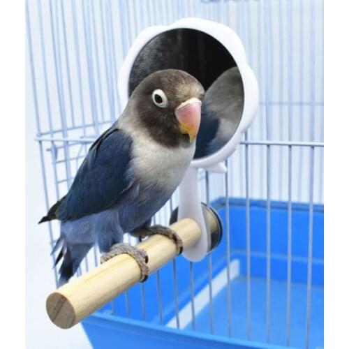 Parrot Perch Triangle Frosted Hen Stand Wood Table Top Play Toy for Hens Handmade Swing Bird for Large Bird With Mirror