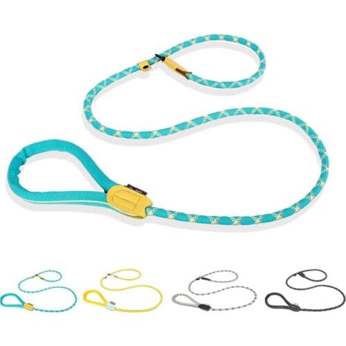 ReflectIive P Chain Dog Leash Slip Collar Pet Walking Leads Dog Mountain Climbing Rope Pet Traction For small Medium Large Dogs