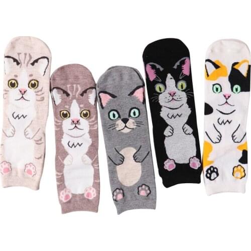 New 2020 Kawaii Cotton Women Socks Cat Face Pattern Socks Personality Female Calcetines Women Socks Autumn Winter Sock Meias