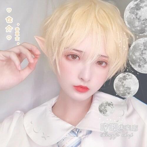 Wholesale Anime Lo Gay Wig Golden for Men Short Hair Small Idol Lo Handsome Online Red Sun anime cosplay lolita wig