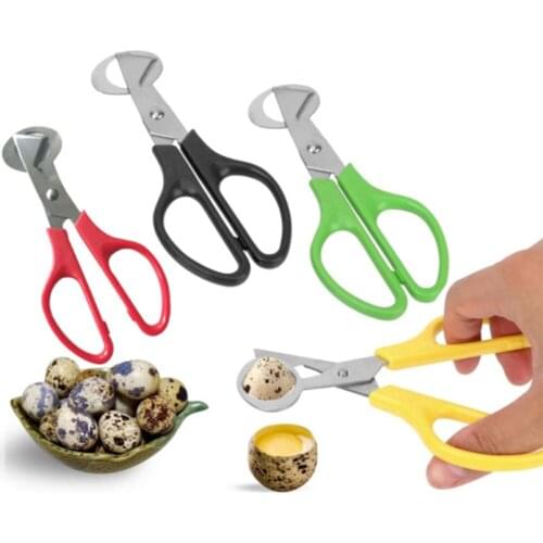 Stainless Steel Quail Egg Cutter Scissors Pigeon Bird Quail Egg Cutter Opener Cracker Kitchen Clipper Tool