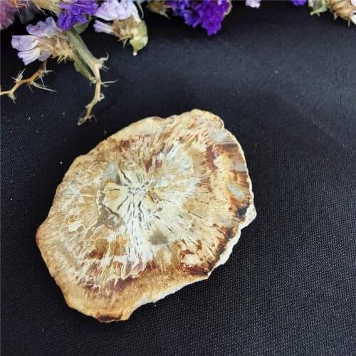 1pcs 45-50mm Natural rock minerals stones specimen healing quartz mini fossil stones for rare gemstone gift