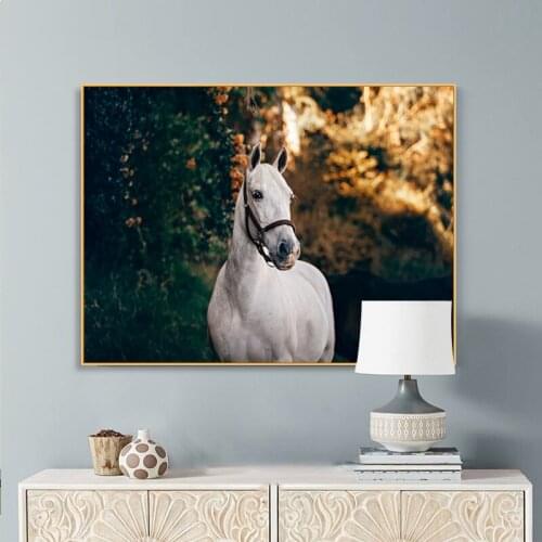 EECAMAIL 5D DIY Diamond Painting Nordic Point Diamond Cross Stitch Full Diamond White Horse 5D Diamond Embroidery No Frame
