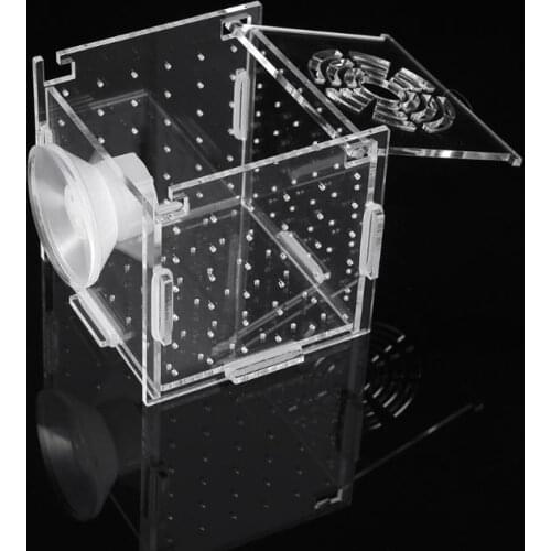 Aquarium Fish Breeding Isolation Box Baby Fish Incubator Hatch Breeder Fish Tank
