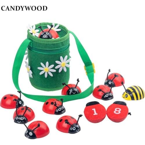 Montessori Childs Number Insects Baby Development Early Learning Aids Learn to Count Children Wooden Math Toys Educational Game