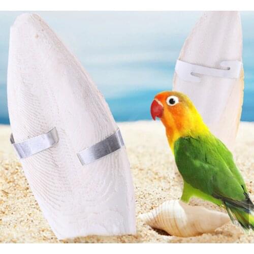 One Piece Multi-purpose Cuttlefish Bone With Metal Bracket Bird Chew Toy Parrot Small Animal Molar Pet Supplies