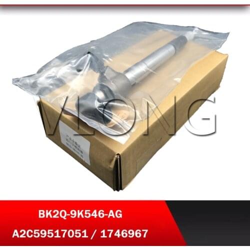 Common Rail Injector CK4Q-9K546-AG CK4Q-9K546-AA BK2Q-9K546-AG BK2Q9K546AG A2C59517051 1746967 for Ford Ranger Transit