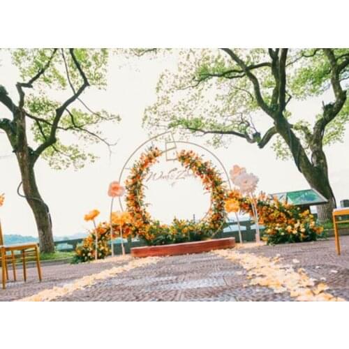 New flower door iron wedding single tube ring shelf background decorative arch circular flower door double rod ring shelf