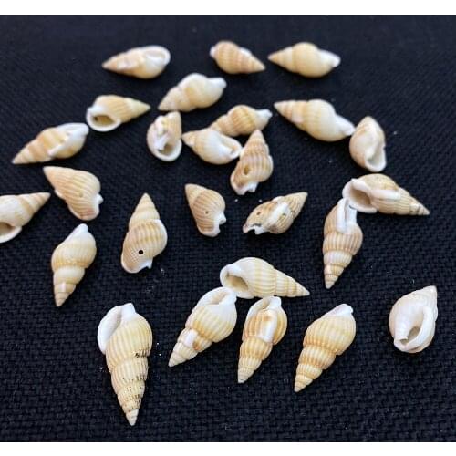 Natural Conch Shell Beads Charms Mini Size Single Hole Shell Pendant Approx 10-15mm DIY for Making Bracelet Necklace 200g