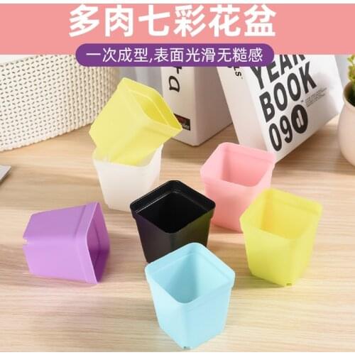 Wholesale Plastic Flowerpot Colorful Fleshy Flowerpot Seedling Small Pot Plant Plastic Flowerpot Home Garden Planting Pots 10Pcs