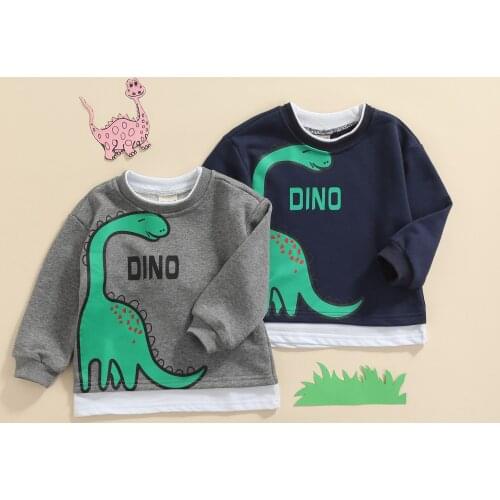 Little Boys Cartoon Hoodie, Spring Autumn Toddlers Dinosaur Letter Printing Long Sleeve Round Collar Tops Casual Clothes 2021