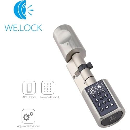 2021 L6PB Smart Key Lock Cylinder Home Keyless electronic Lock Cylinder Unlock with Code and Bluetooth Mobile App