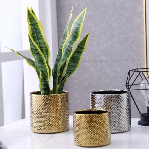 Silver Stand Large Modern Flower Pot Creative Succulents Nordic Style Minimalist Decor Plant Supplies Macetero Flower Pot EH50FP