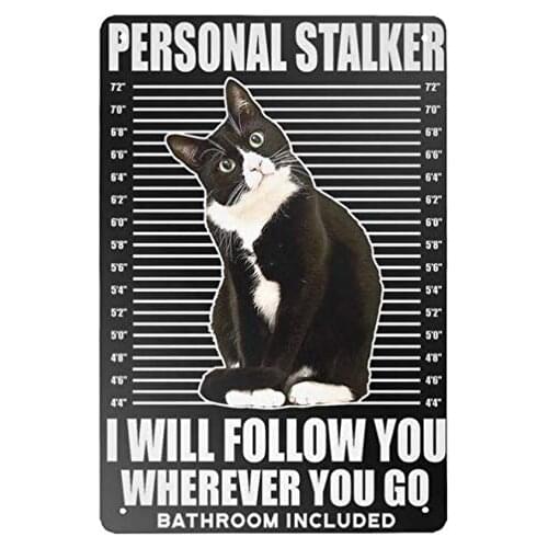 Personal Stalker I Wiilfollow Vouwherever You Gobathroom Included Vintage Animal Cat Art Metal Tin Sign 8x12 Inch Home Kitchen