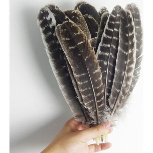 Hot 50pcs beautiful 10-12inches / 25-30cm natural wild turkey tail feathers crafts for Christmas wedding Decoration