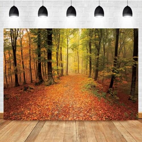 Laeacco Autumn Sunset Forest Deciduous Path Photo Photography Background Photographic Photography Backdrop For Photo Studio