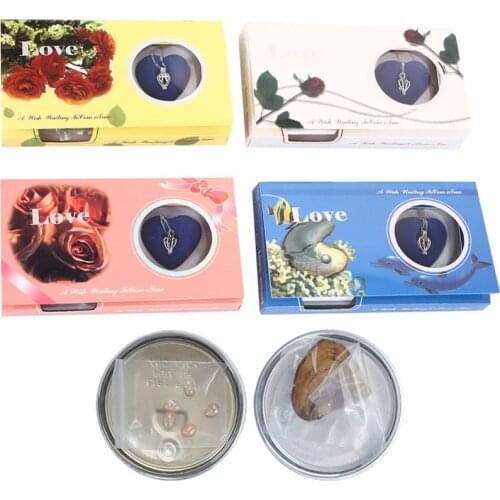 Fashion Popular Natural Oyster Wish Pearl Pendant Necklace Charm Necklace Gift Box Women Jewelry Gift Lucky DIY Gift Set Jewelry