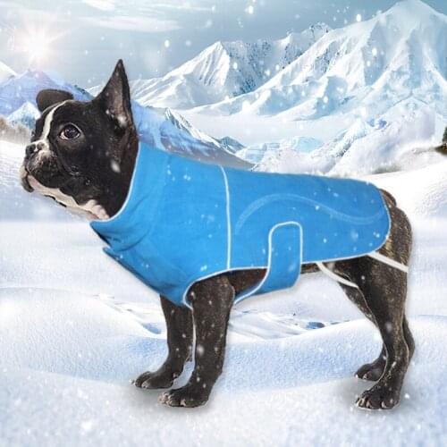 Pet Supplies Winter Fashion Warm Dog Clothes Pet New Year Clothes Thickening Reflective Cold Fleece Qianyi
