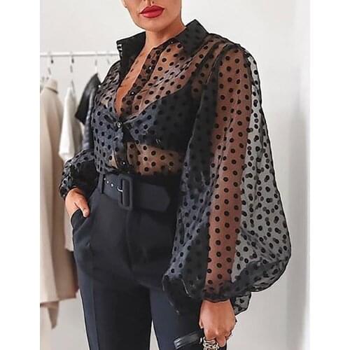 ITFABS Brand Women Polka Dot Mesh Sheer See-through Long Sleeve Blouse Tee T Shirts Shirt Perspective Lantern Sleeve Shirt Tops