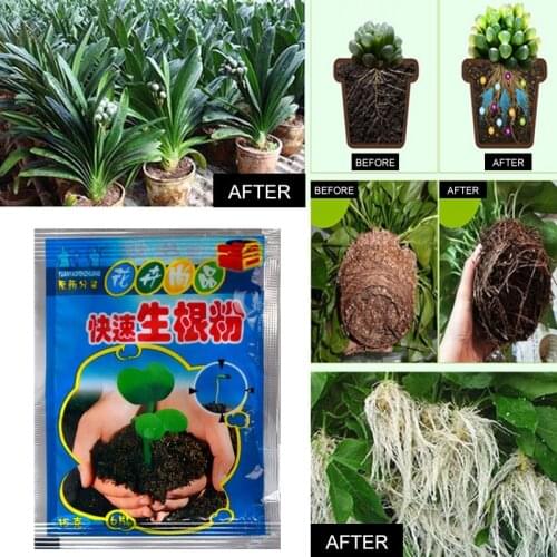 Plant Rapid Growth Root Hormone Regulators Flower Seeds Plant Seeds Seedling Recovery Vigor Plant Fertilizer Rooting Powder