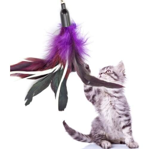 6 Pcs/Lot Pet Cat Toy Wand Toy Feather Replacements Universal Size Colorful Tease Feather Replacements Home Cats Teaser Toy Tool