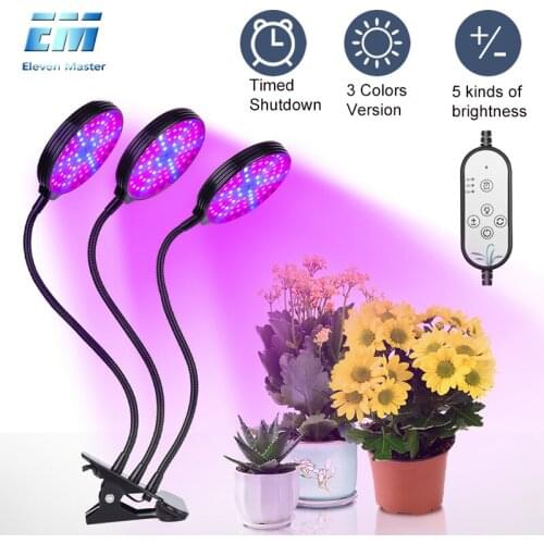 Eleven Master Plant Lamps