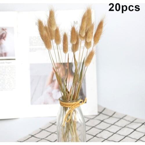 20Pcs Rabbit Tail Grass Natural Dried Flowers For Home Decoration Flower Arrangement Long Bunches Bouquet Props JW