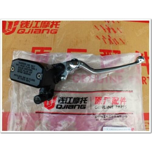 BJ250-15 BJ250-15A Small Motorcycle Accessories Benagli Huanglong Pump Brake Pump