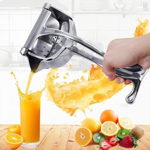 Stainless Steel Fruit Juicer