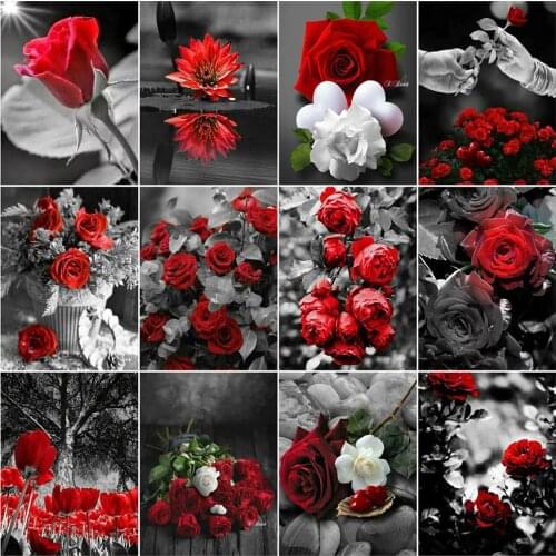 EverShine Picture By Numbers Flowers Hand Painted Wall Art Rose Oil Painting By Numbers Decorations For Home