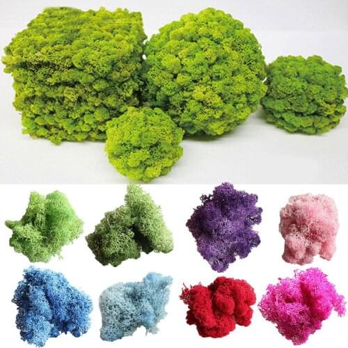 10g High Quality Artificial DIY Dried Moss Plant immortal fake Flower Garden Home Living Room Wall DIY Landscape Decoration
