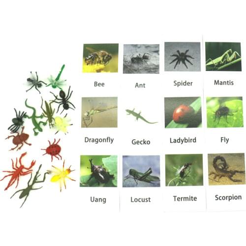 Montessori Animals Math Card English Words Animals Wooden Card For Child Educational Montessori Toys For Children