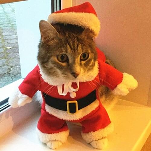 IDEPET Clothes For Cats