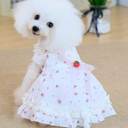 Strawberry Dog Dress Summer Pet Clothing Princess Skirt Cat Pomeranian Shih Tzu maltese Bichon Podle Yorkshire Schnauzer Clothes