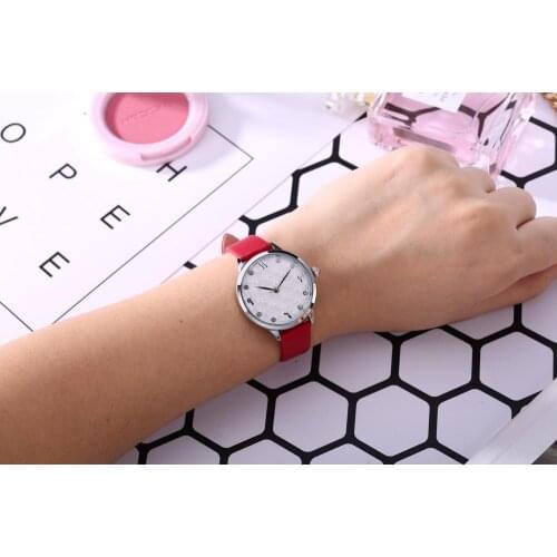 Silk Leather Watch Luxury Classic Wrist Watch Fashion Casual Simple Quartz Wristwatch Clock Women Watches