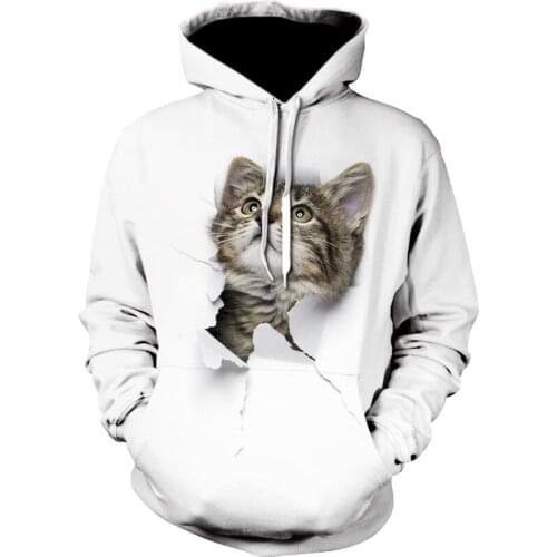 2021 New arrival Cute 3D Cat Print hoodie Men Women Sweatshirts Harajuku Winter animal off white Hoodies oversize Pullovers
