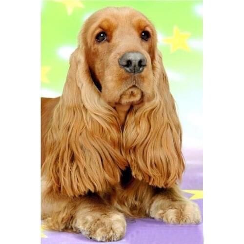 Diamond Embroidery British cocker spaniel Needleworks 5D DIY Diamond Painting Full Square Rhinestone Mosaic Home Decor C470