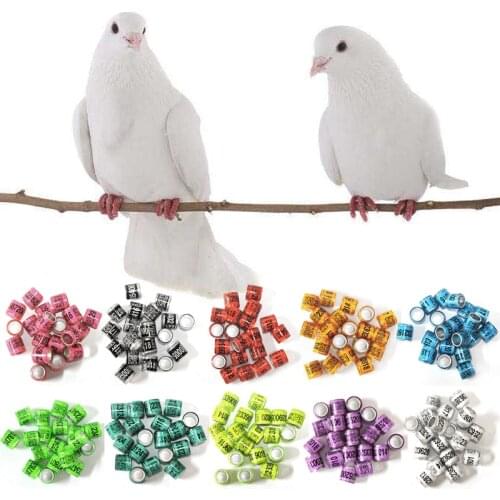 50 Pcs Mixed Color Dove Bands Bird Foot Ring Species Identify Training Rings Pet Bird Label Sign for Pigeon Dove Chicks