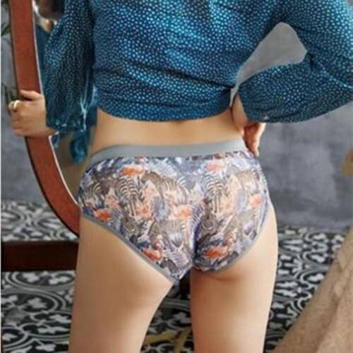 Direct 2021 Summer Mesh Transparent Ladies Sexy Cotton Briefs Breathable Cartoon Low-Waist Womens Underwear Lingerie
